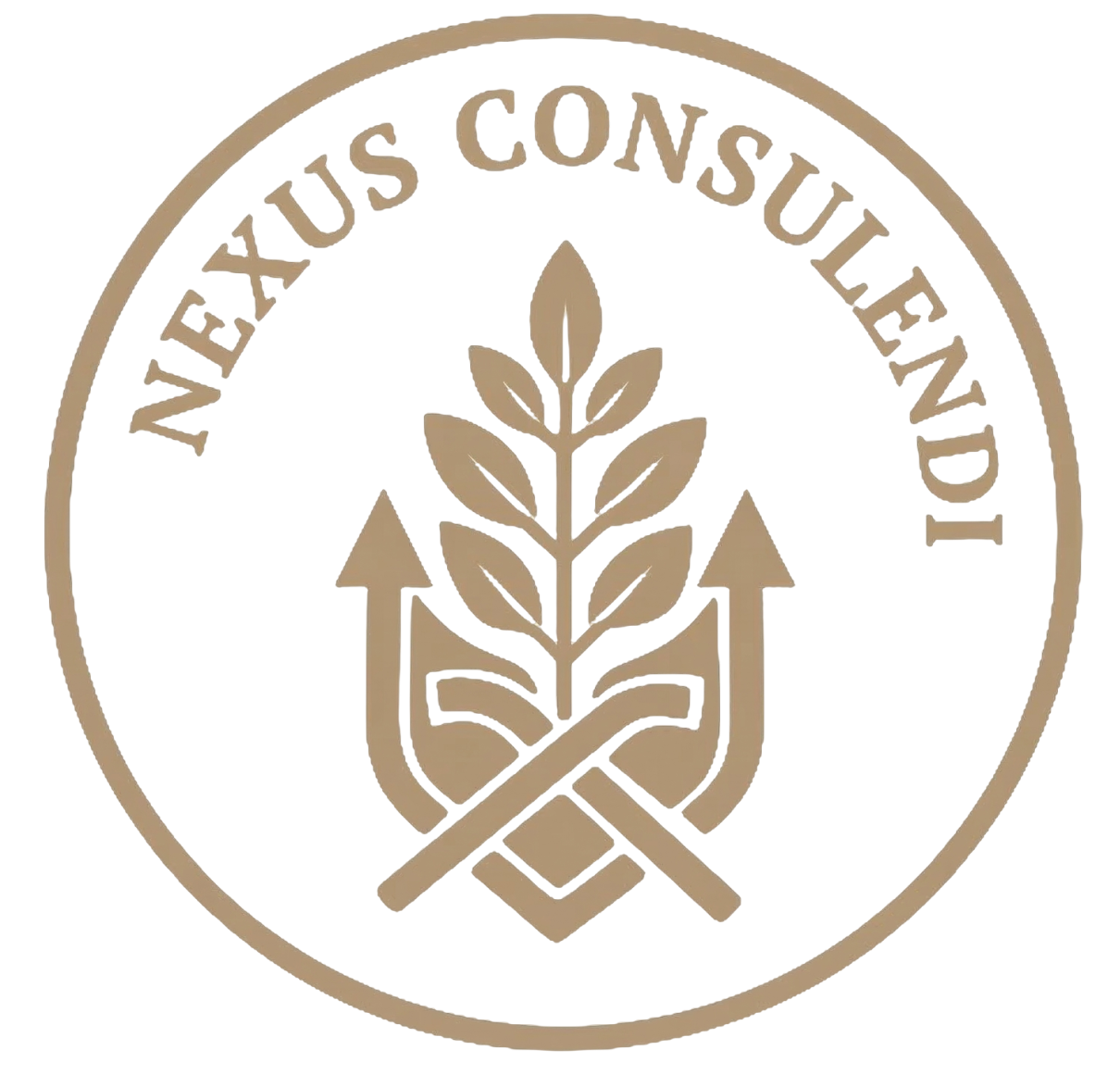 Nexus